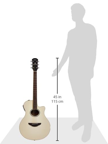 Amazon.co.jp: Yamaha APX600 VW Electric Acoustic Guitar : Musical